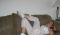 alisonmadison97 alisonmadison97